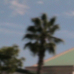 tree and huggers silhoette