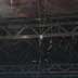 Spider's Web