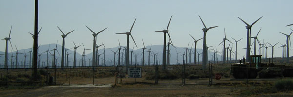 windmills